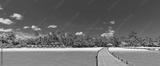 preview bw