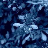 preview cold