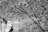 preview bw
