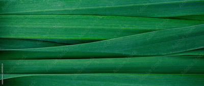 image to crop