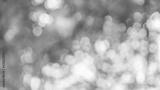 preview bw