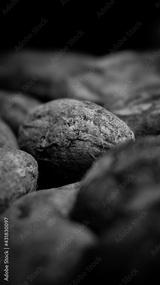 preview bw