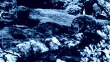 preview cold
