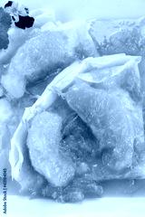 preview cold