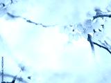 preview cold