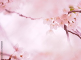 preview original