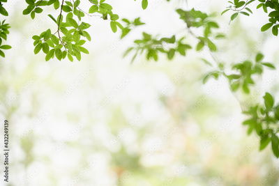 image to crop