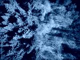 preview cold