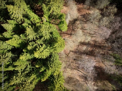 image to crop