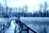 preview cold