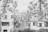 preview bw