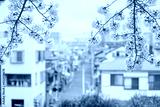 preview cold