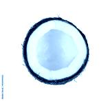 preview cold