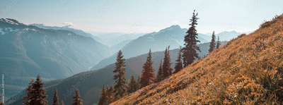 image to crop