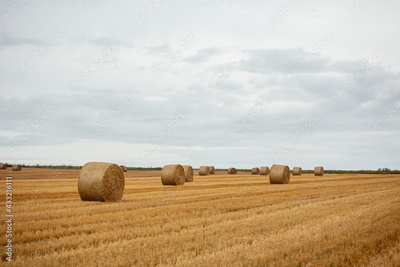 image to crop