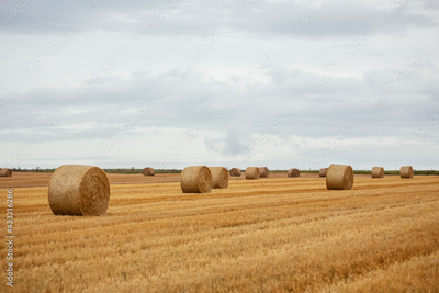 image to crop