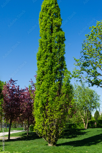 image to crop