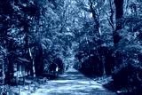 preview cold