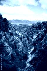 preview cold