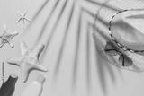 preview bw