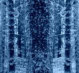 preview cold