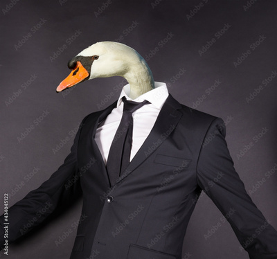 image to crop