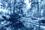 preview cold