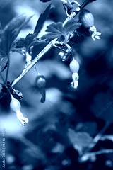 preview cold