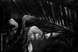 preview bw