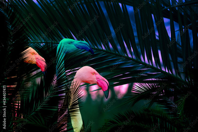 image to crop