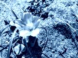 preview cold