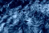 preview cold