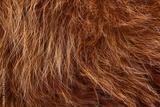 preview original
