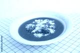 preview cold