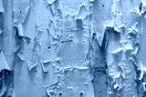 preview cold