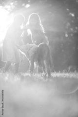 preview bw