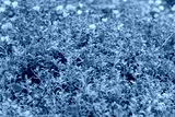 preview cold