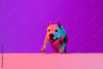 image to crop