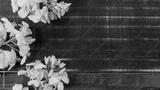 preview bw