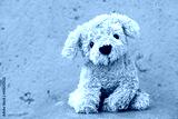 preview cold
