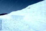 preview cold