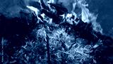 preview cold