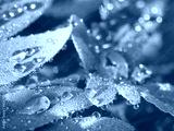 preview cold