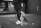 preview bw
