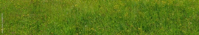 image to crop