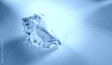 preview cold