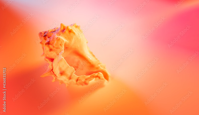 image to crop