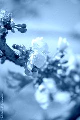 preview cold