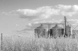 preview bw