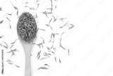 preview bw